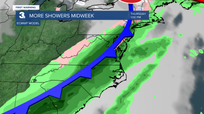 Surface Map (10).png