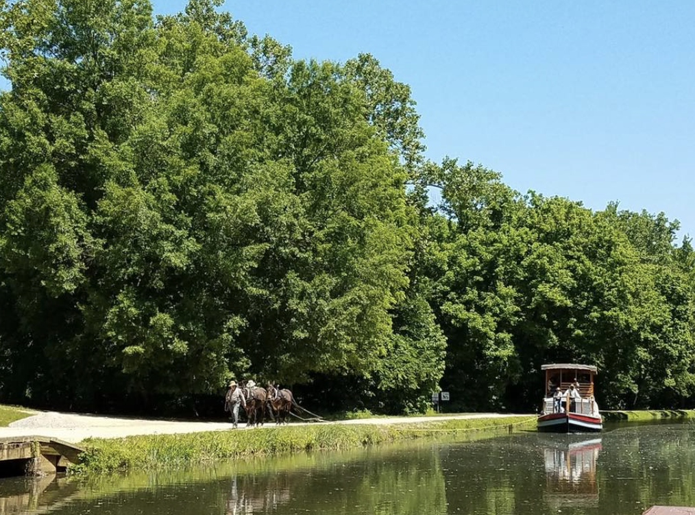 Great Falls Canal Mule Drawn Boat Rides