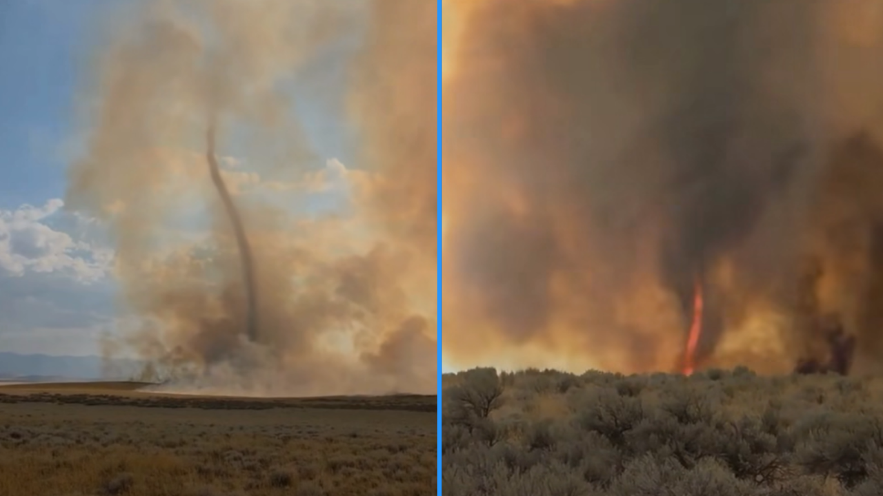 firenado kuna.png