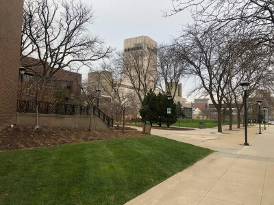 CSU 