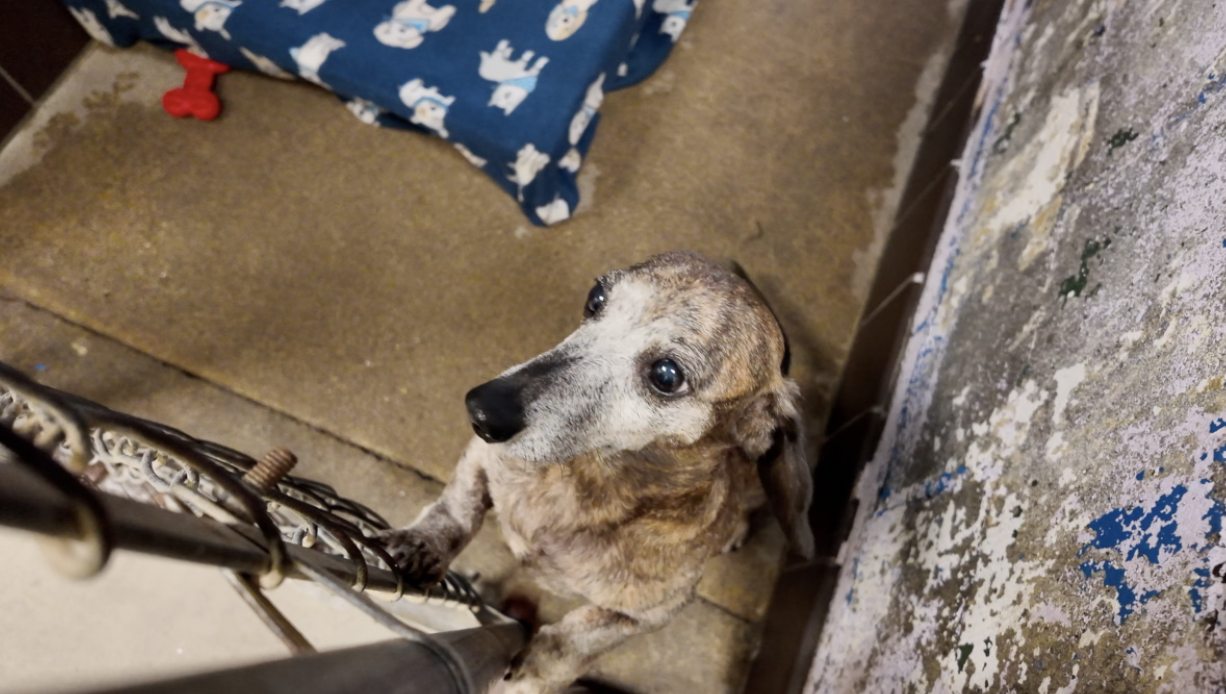 Screenshot 2025-08-21 at 4.12.19 PM.png