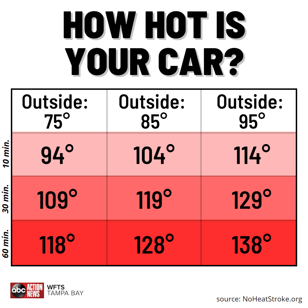 Hot car temps