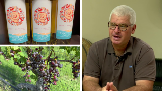 Currituck County vineyard discusses harvest, drought, and what's next