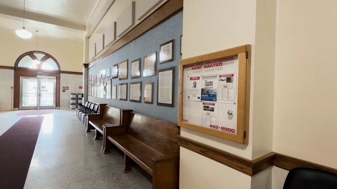 Shannon LaBau missing poster