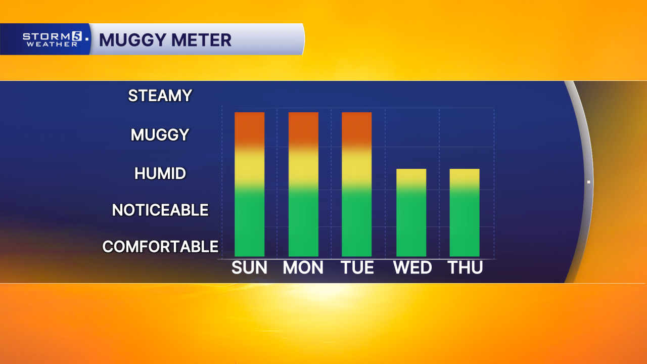 AM MUGGY METER 5 DAY.png