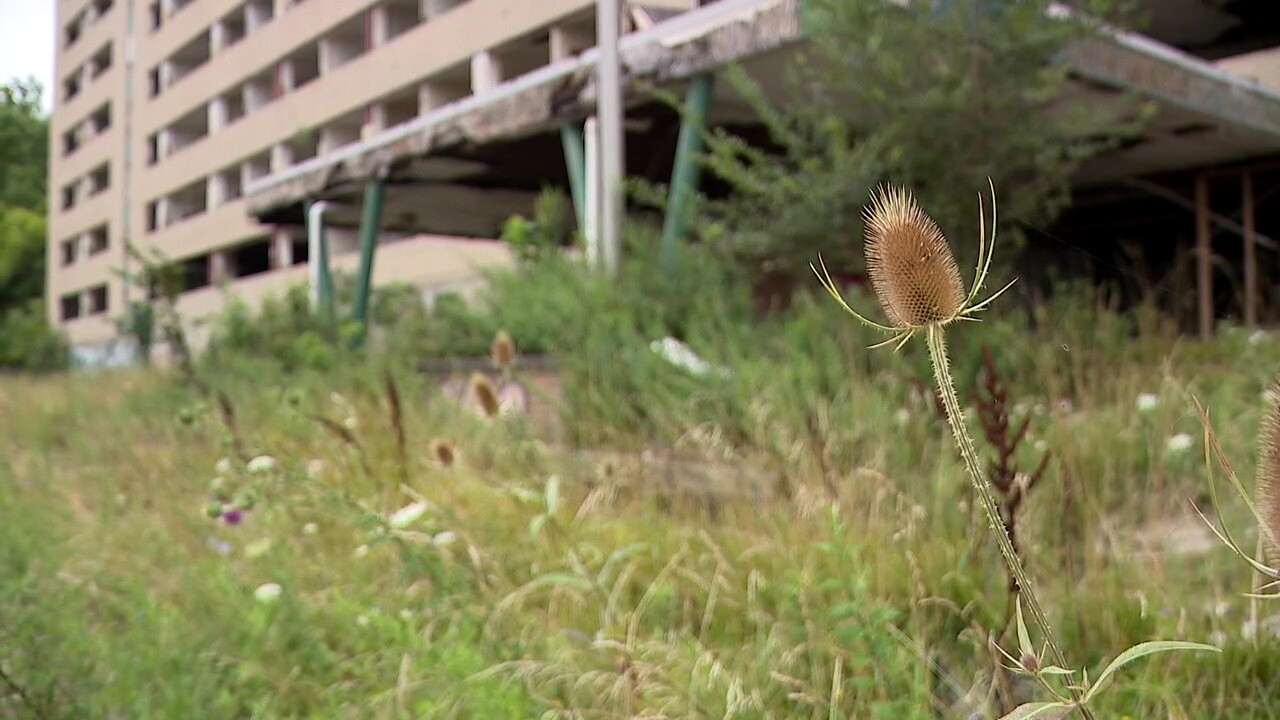 Brush grows up around the long-vacant Huron Place Apartments building, which is slated for demolition.