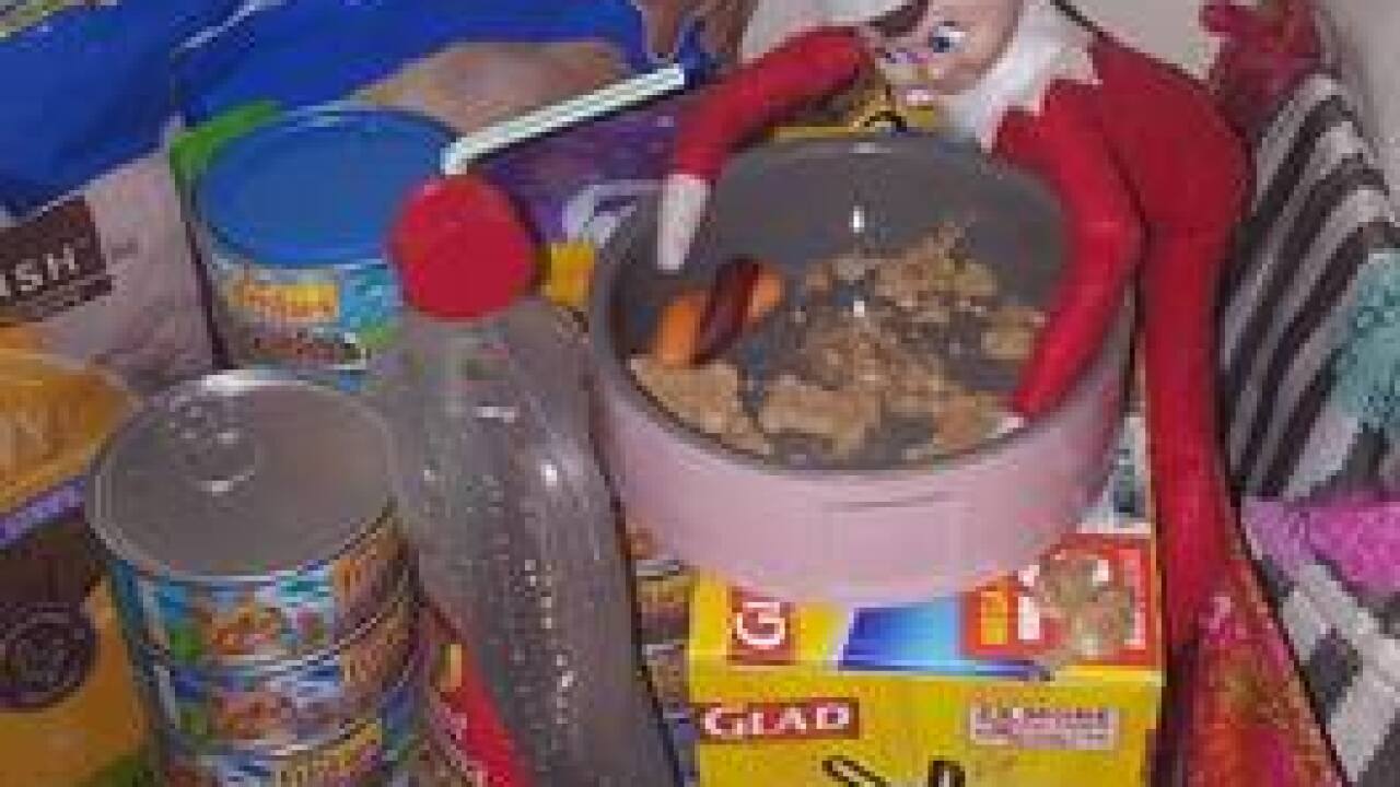 2016 Elf on the Shelf Photos & Ideas