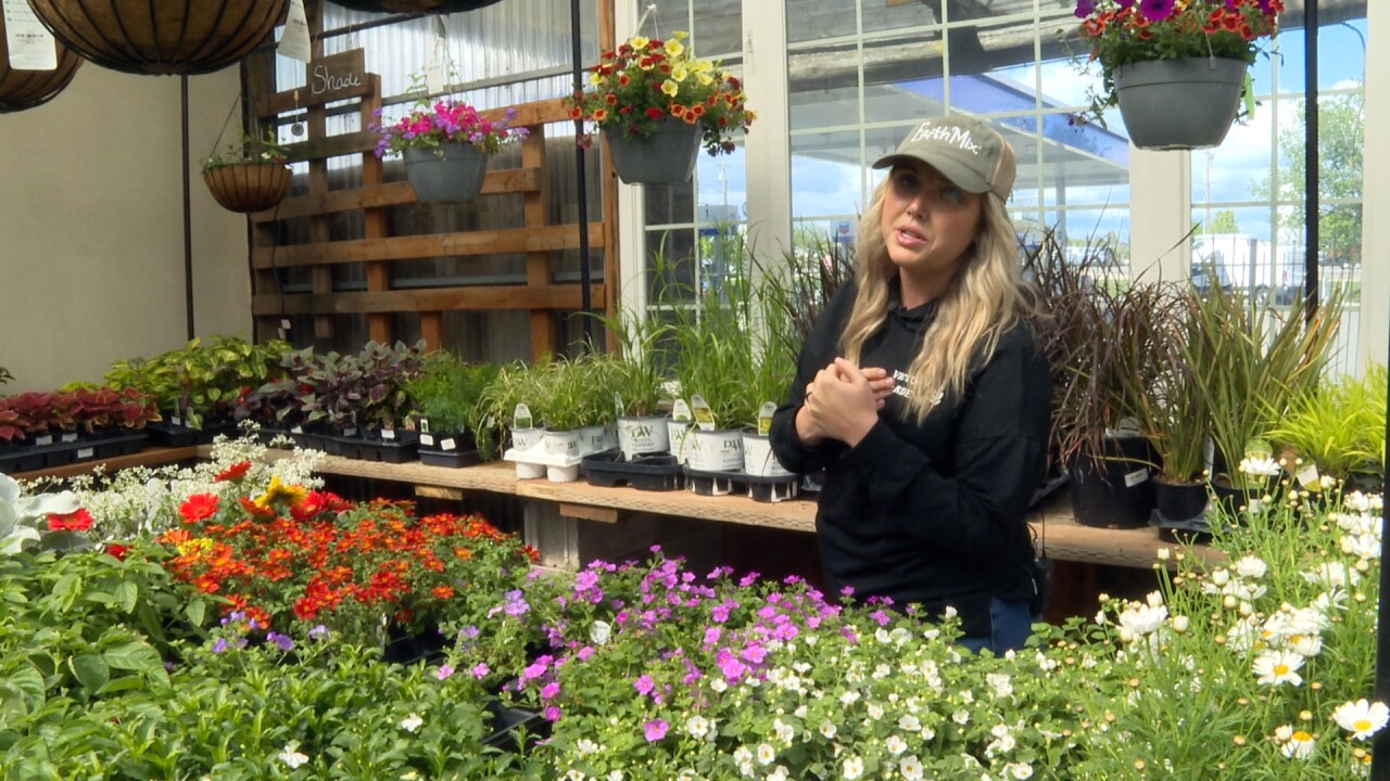 MII VICTORY GARDENS MINI 3.jpg