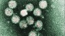 Hep C deaths up; Baby boomers asked to get tests