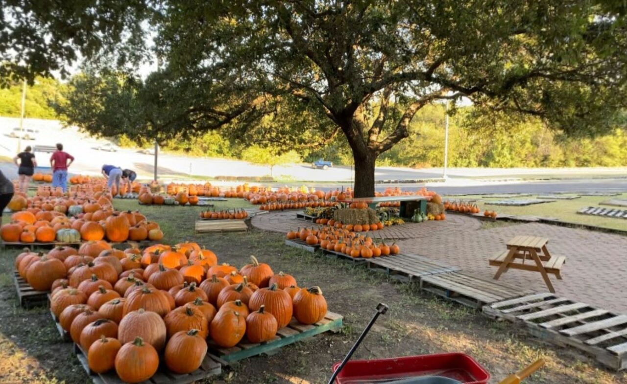 The Pumpkin Patch at Central Christian Church-Waco