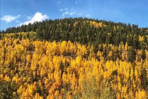 Leadville area_photo by Tami Loyche