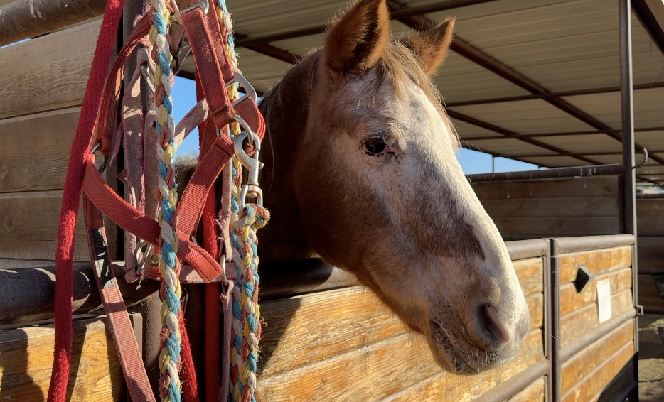 Screenshot 2025-12-11 at 4.51.53 AM.png