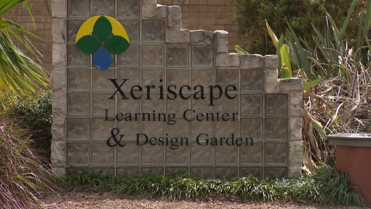 Xeriscape.jpg
