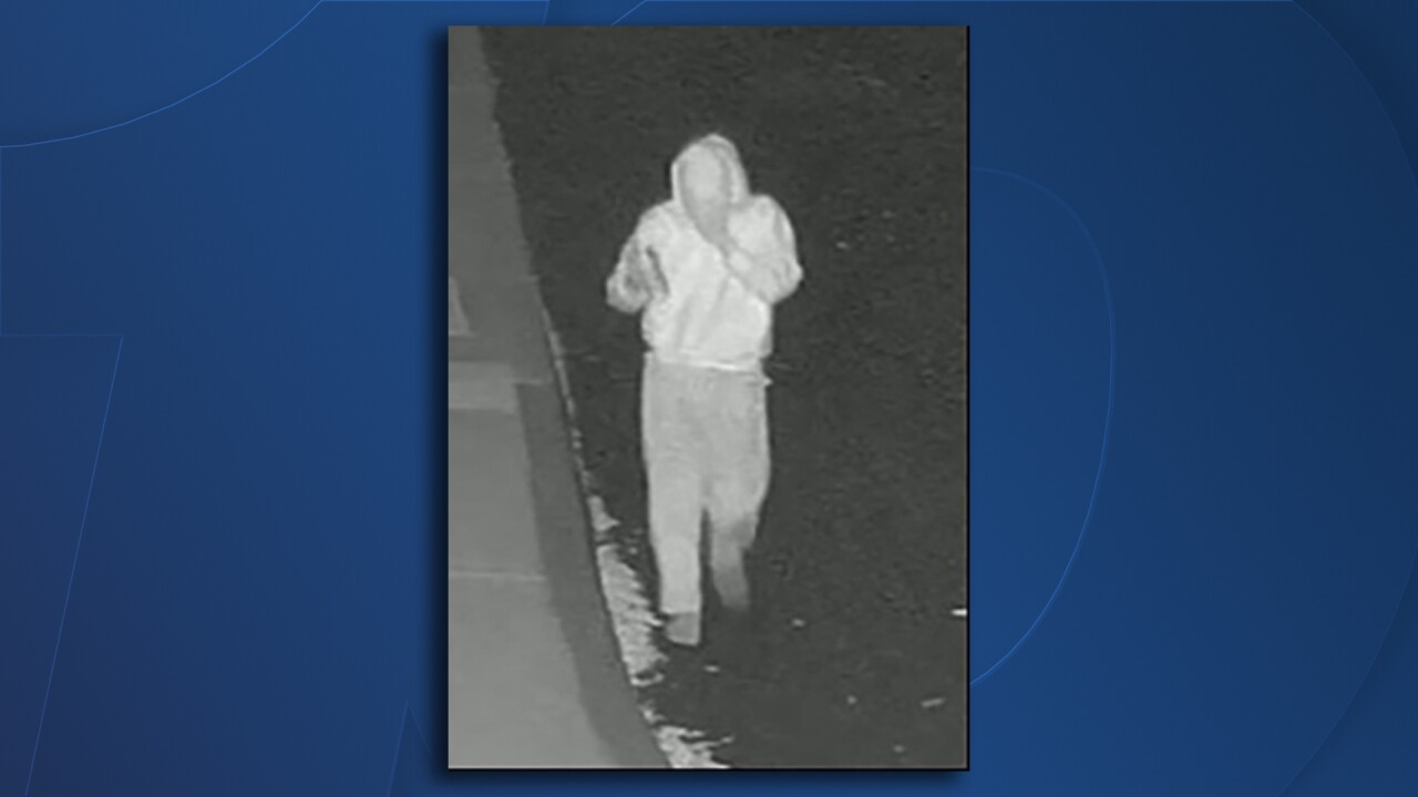 san dieguito academy vandalism suspect.jpg