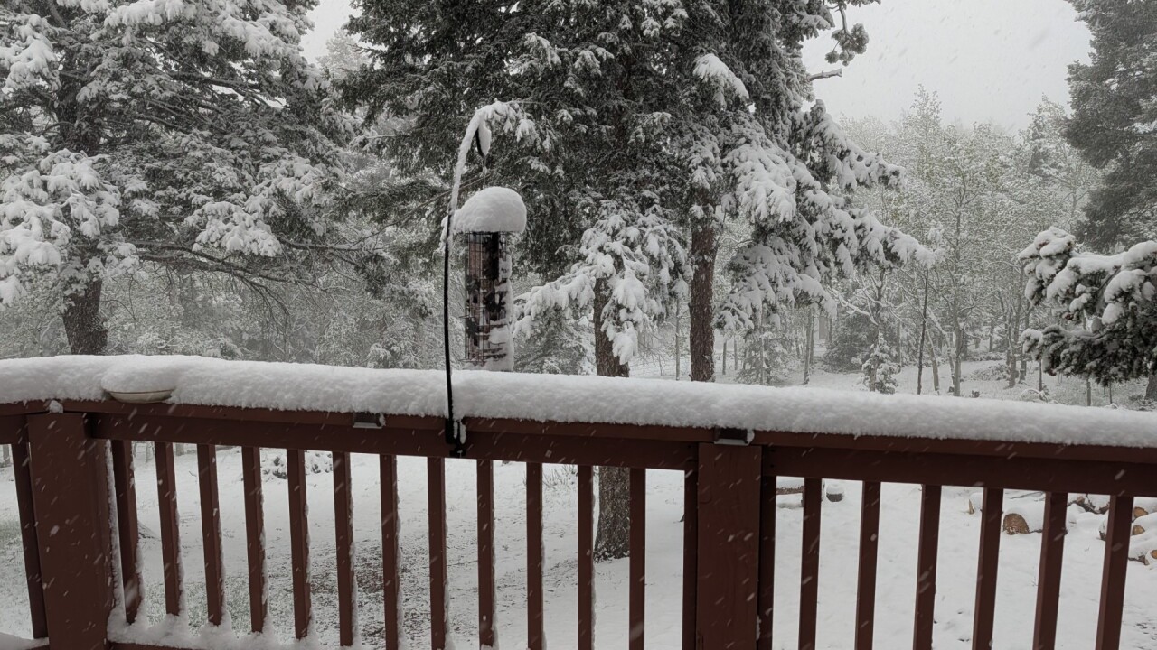 Cathy Prange Florissant snow