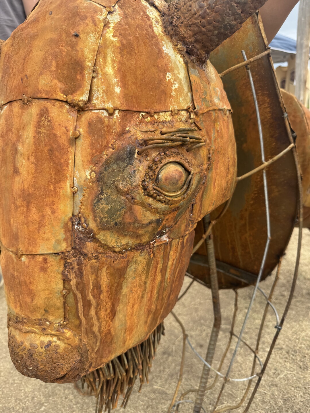 Bison Resilience Project sculpture head