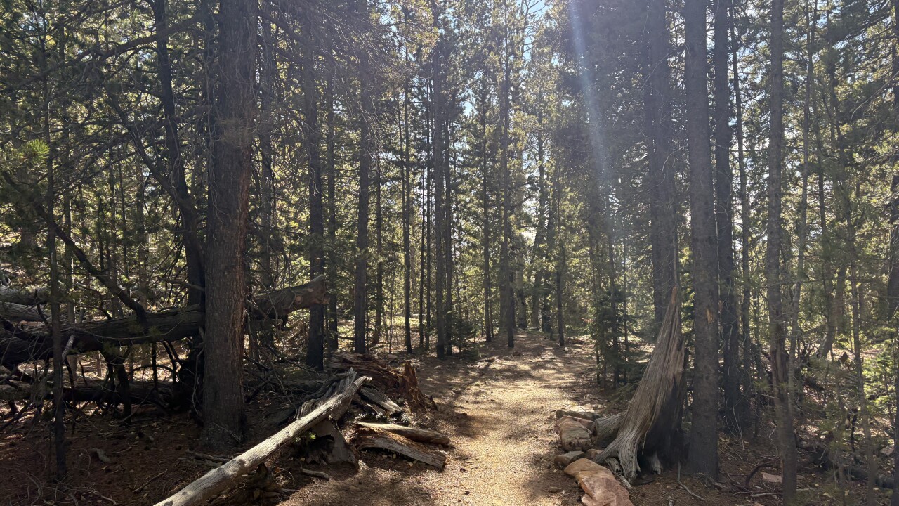 Staunton State Park_Deb Stanley