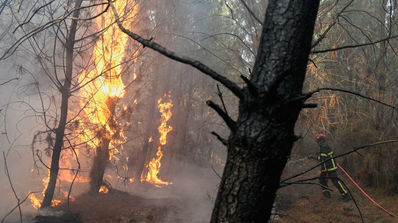 France Wildfires