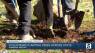 Volunteers to plant 75,000 trees around the state for Tennessee Tree Day
