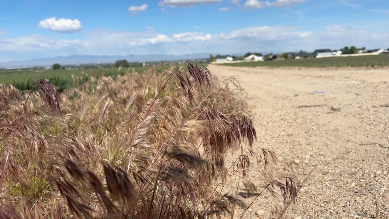 Silverleaf Development