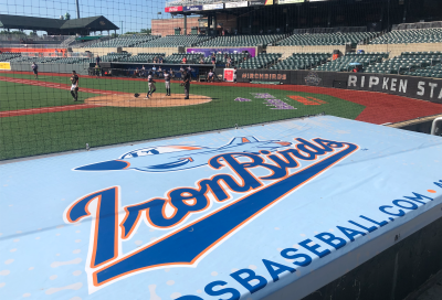 ironbirds web.png