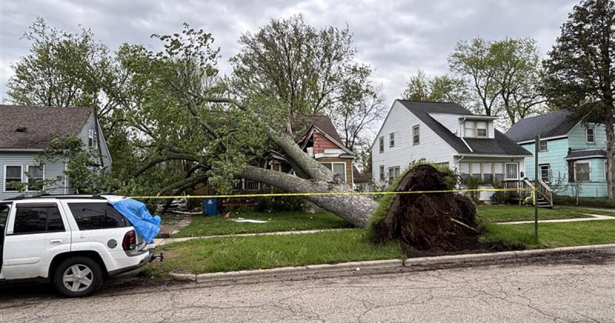 Strong winds down trees, knock out power across West Michigan