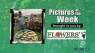 Southern Woods and Waters: Crappie Fishing p2