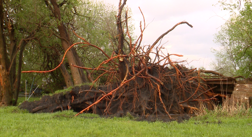 Miami County Damage 4.png