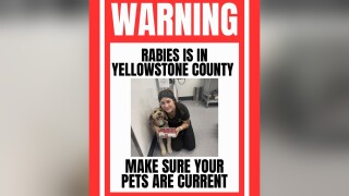 rabies1_3.1.1.jpg
