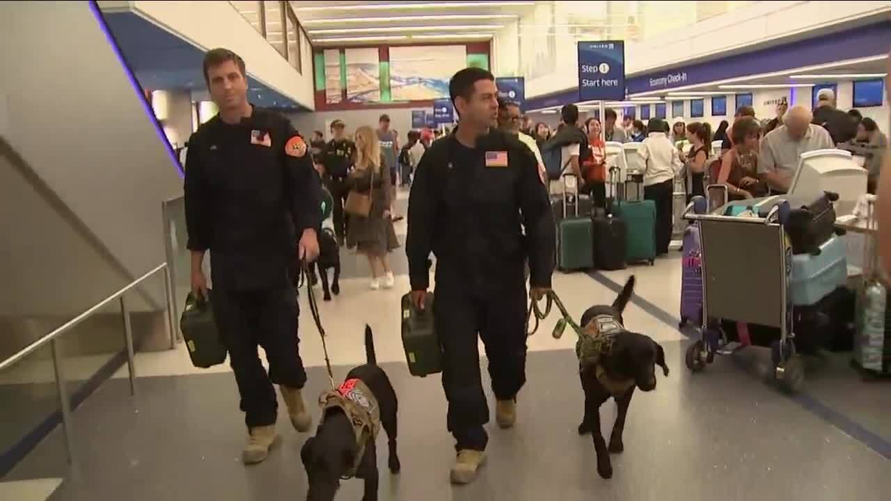 Cadaver Dogs Head to Maui, August 2023