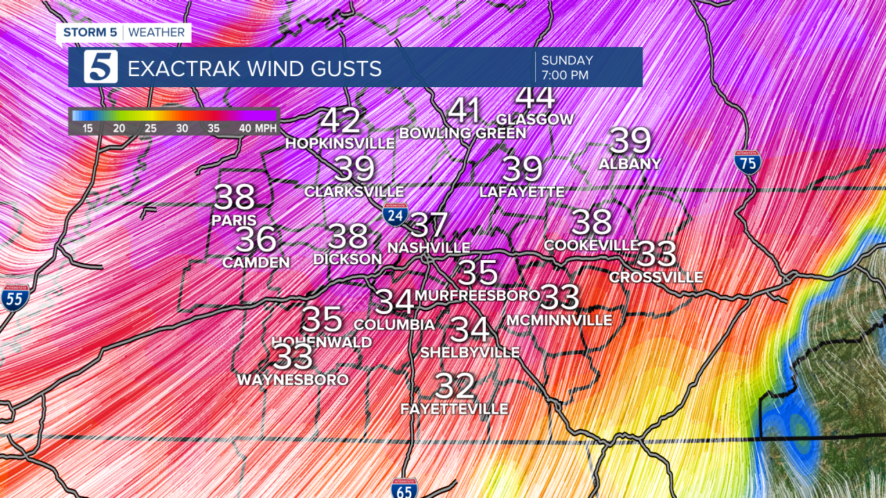 HENRY DMA EXACTRAK WIND GUSTS.png