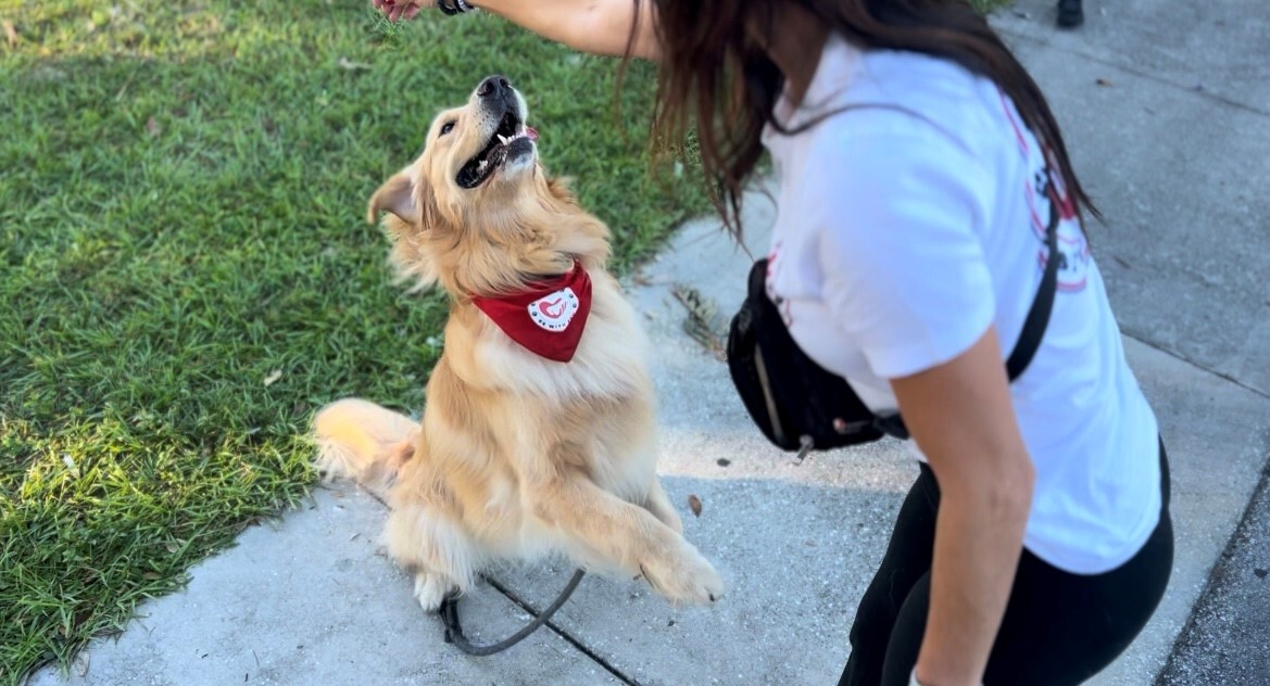 The Palm Beach County Office of Community Revitalization hosted the first Community Therapy Dog and Fitness event at John Prince Park west of Lake Worth Beach. Oct. 21, 2023