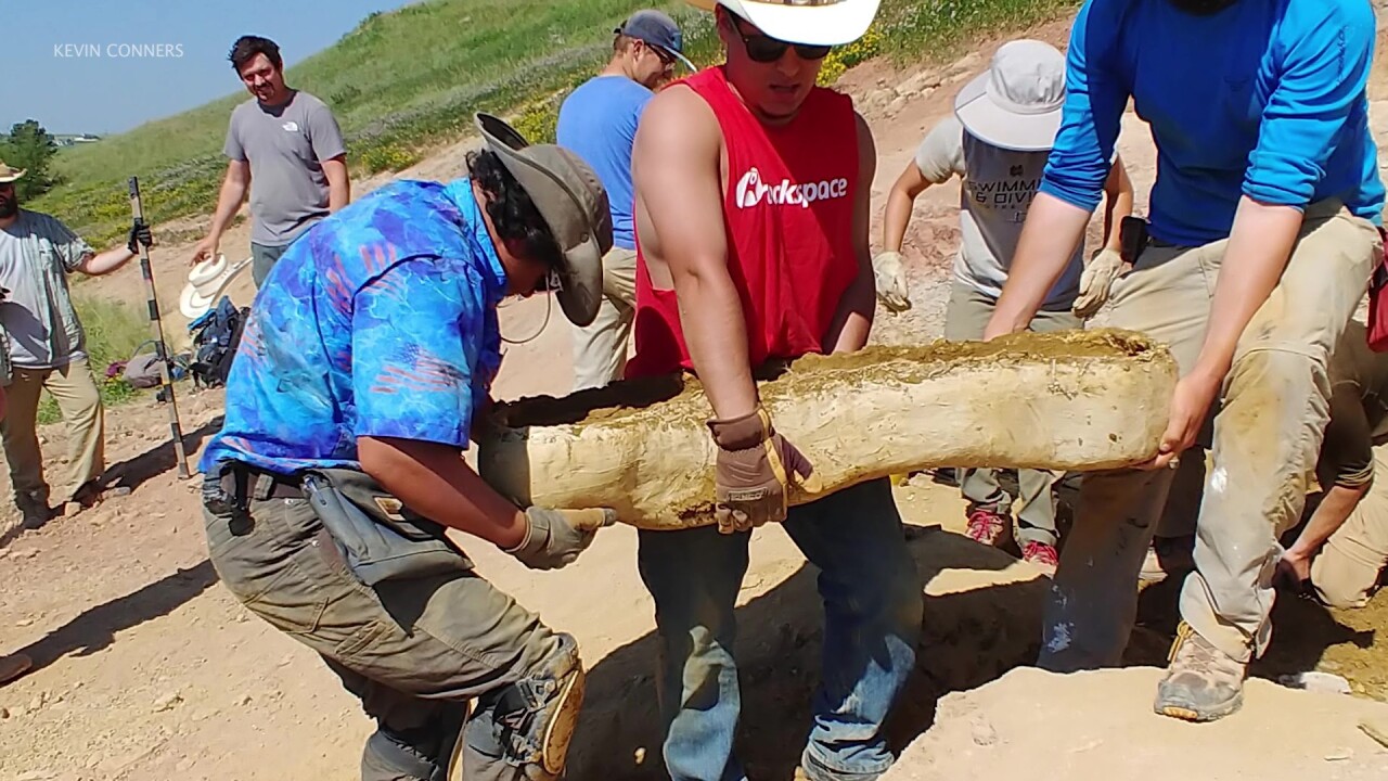 Rancher finds dinosaur fossils on property near Lewistown
