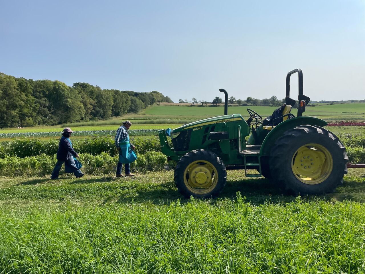 Gwenyn Hill Organic Farm