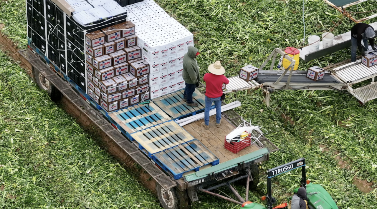 yuma migrant workers farm