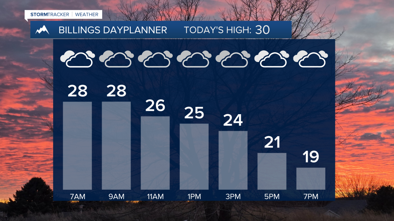 AM Dayplanner.png