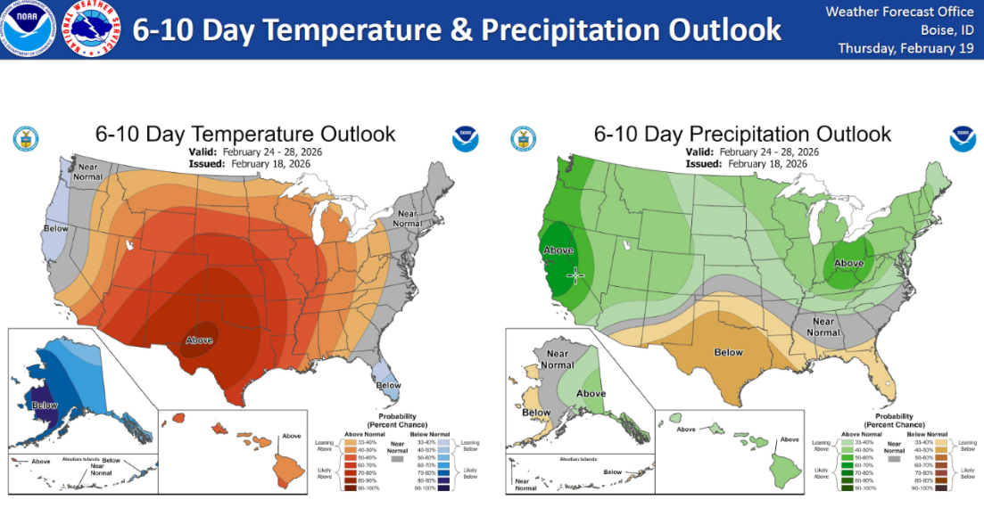 Screenshot 2026-02-20 163431.png