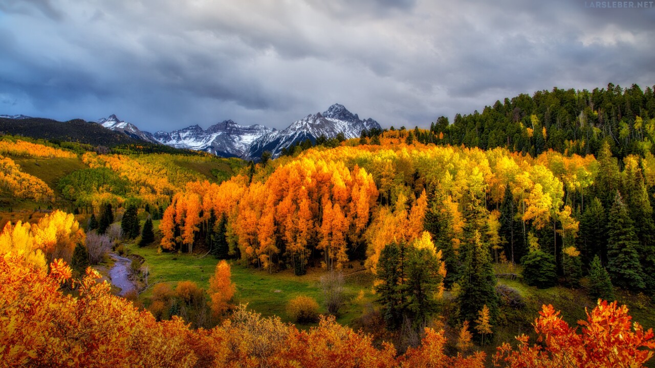 Your ultimate guide for Colorado's fall colors