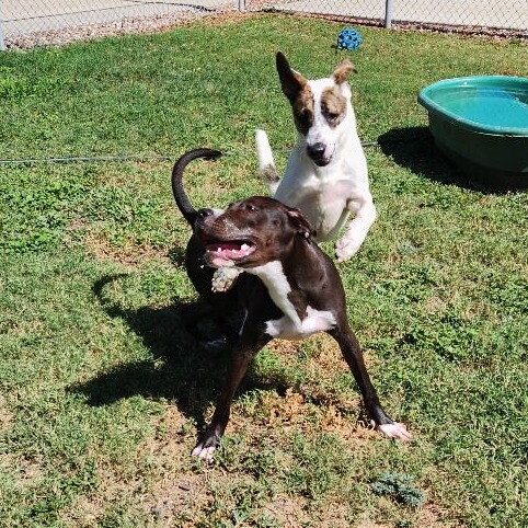 Sammy in playgroup.jpg
