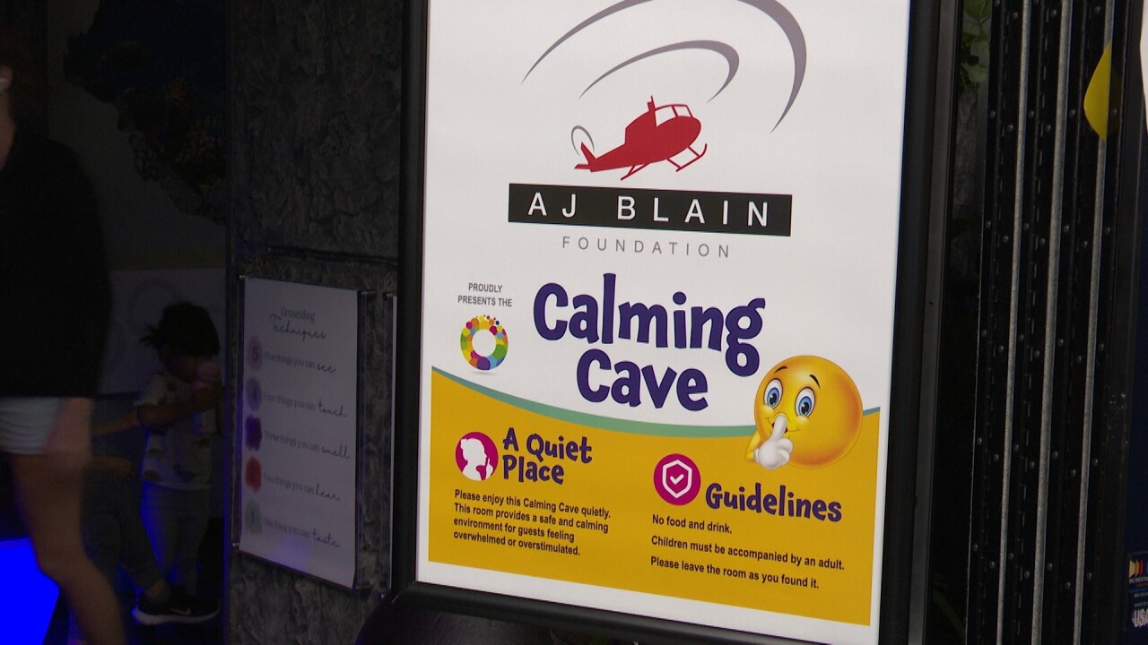 Calming Cave: Newest addition to Wise Wonders in Billings
