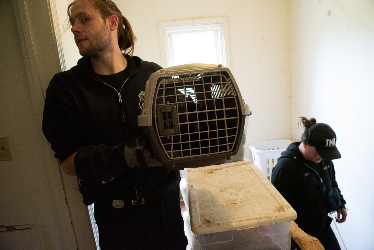 Courtesy: Humane Society of Huron Valley