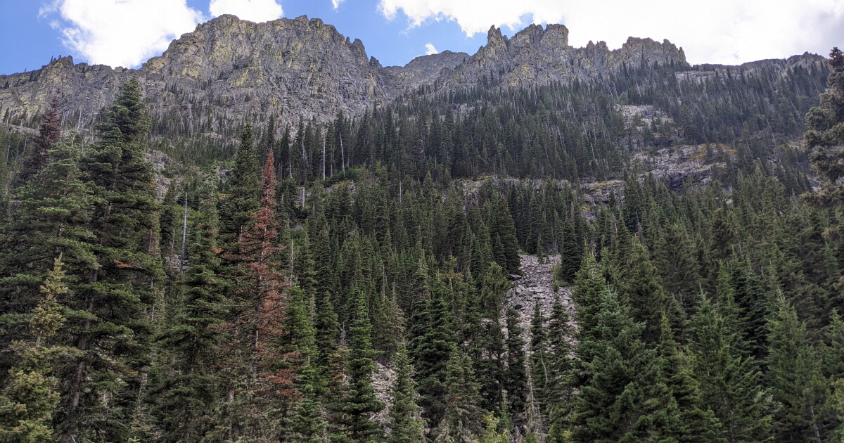 Crazy Mountains offer mystique, majesty across 120 miles of trails - Vimarsana News