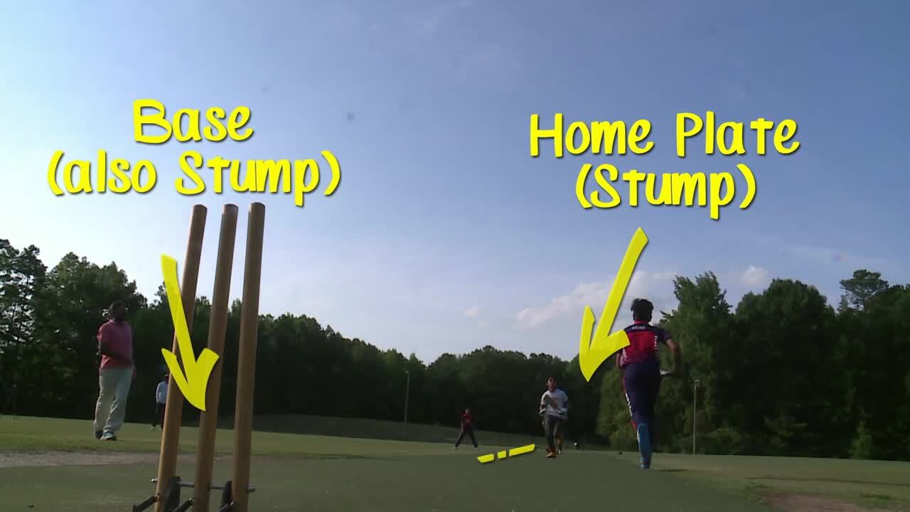 Cricket Stumps