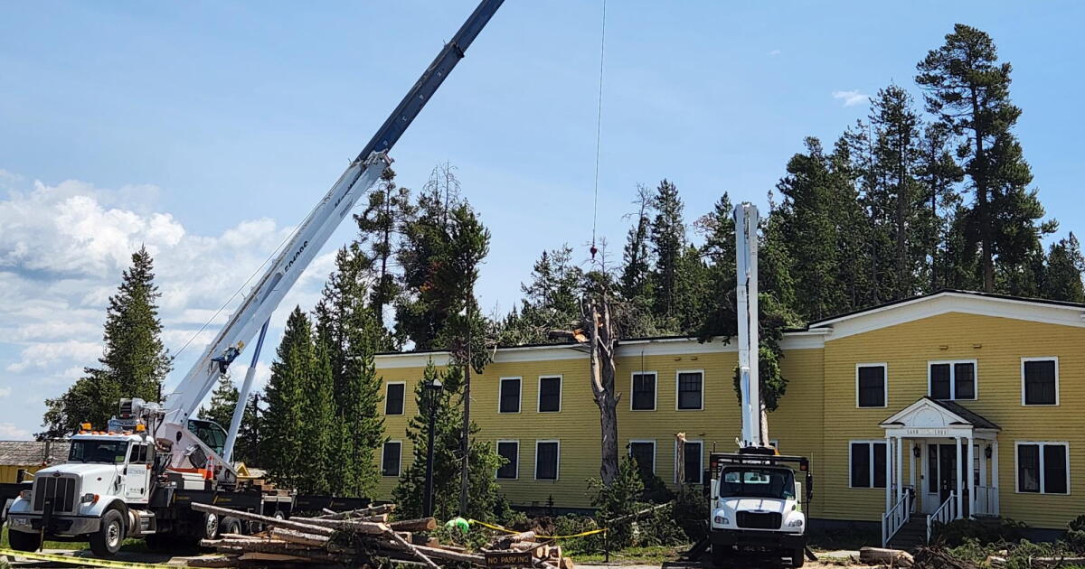 Intense, brief storm at Yellowstone Lake topples trees, rattles hotel employees - Vimarsana News