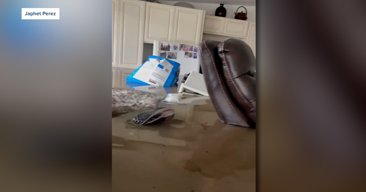 San Diego man swims through flooded home to rescue pets - Vimarsana News