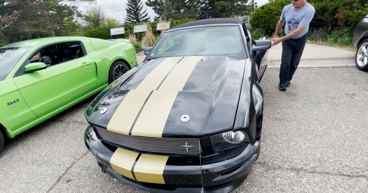 Great Falls Mustang Club gears up for annual car show - Vimarsana News