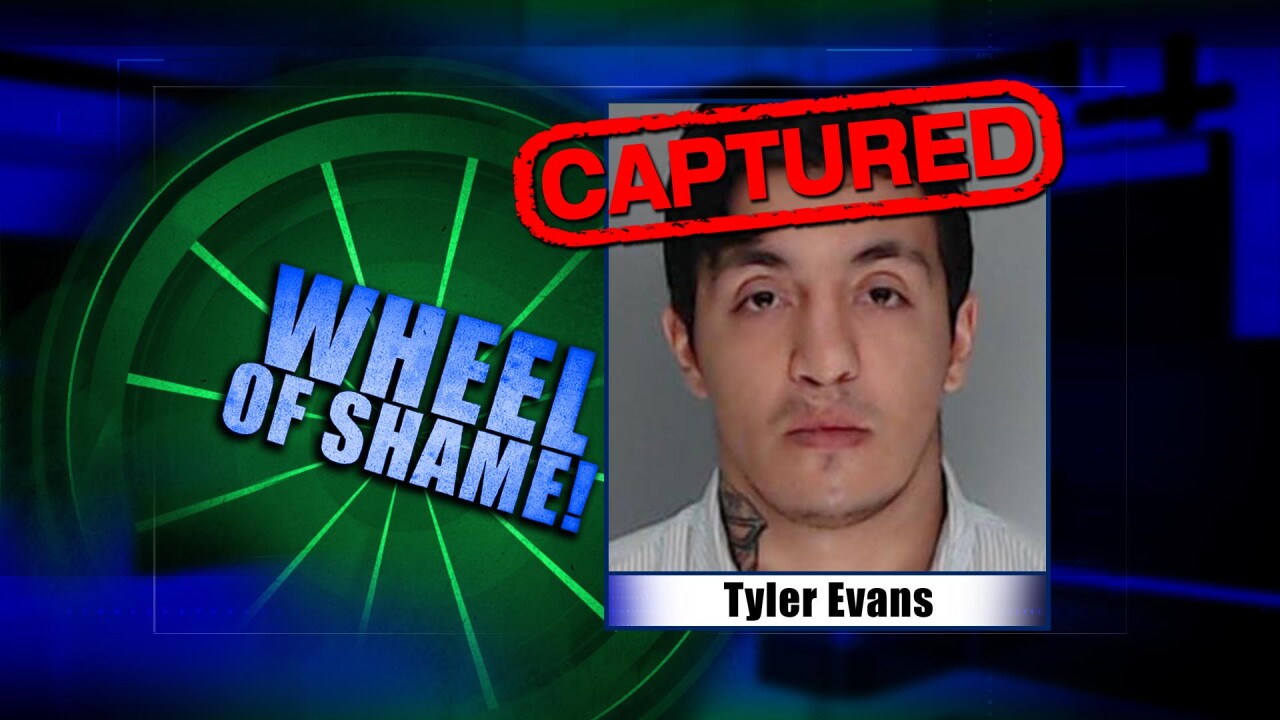 Wheel Of Shame Arrest: Tyler Evans