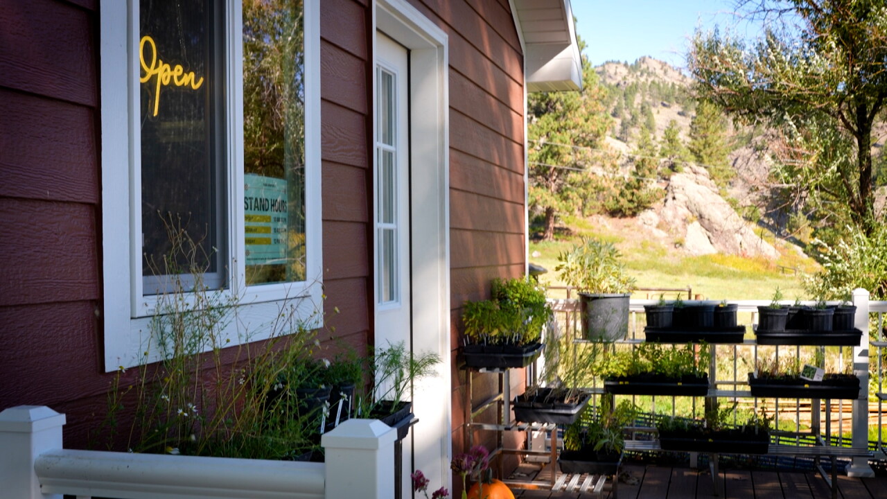 FARM STAND PHOTO.jpg