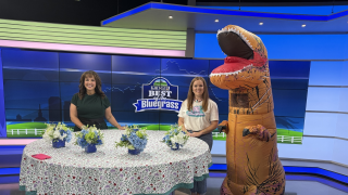 Big fun with Big Brothers Big Sisters of the Bluegrass