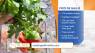 Grab your chips!  This Pico de Gallo recipe is perfect for summer